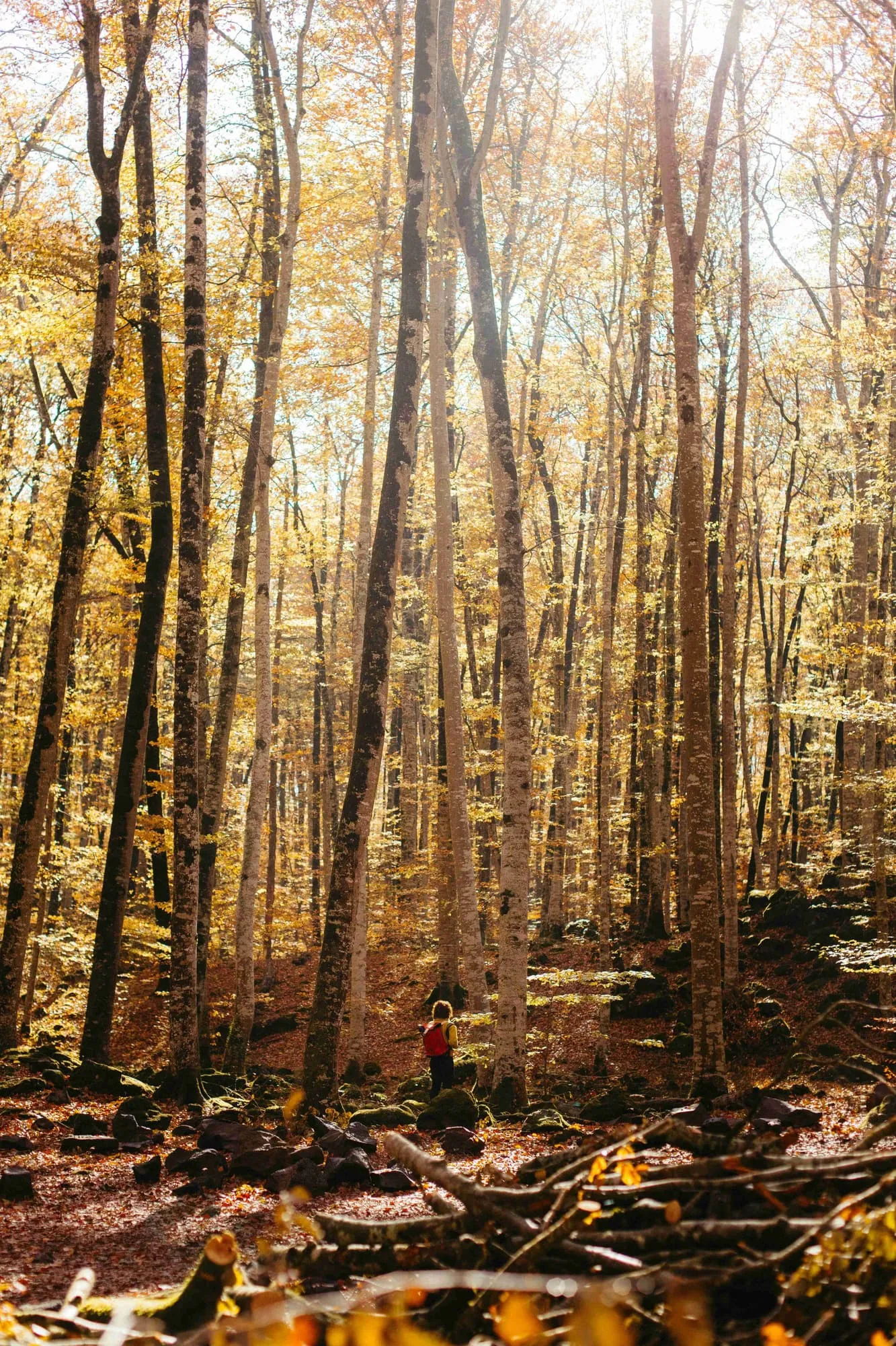 Visitantes sin colas en una atracción de Girona