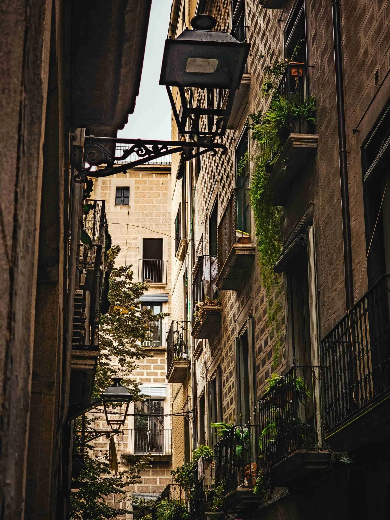 Guía turístico explicando la historia de Girona