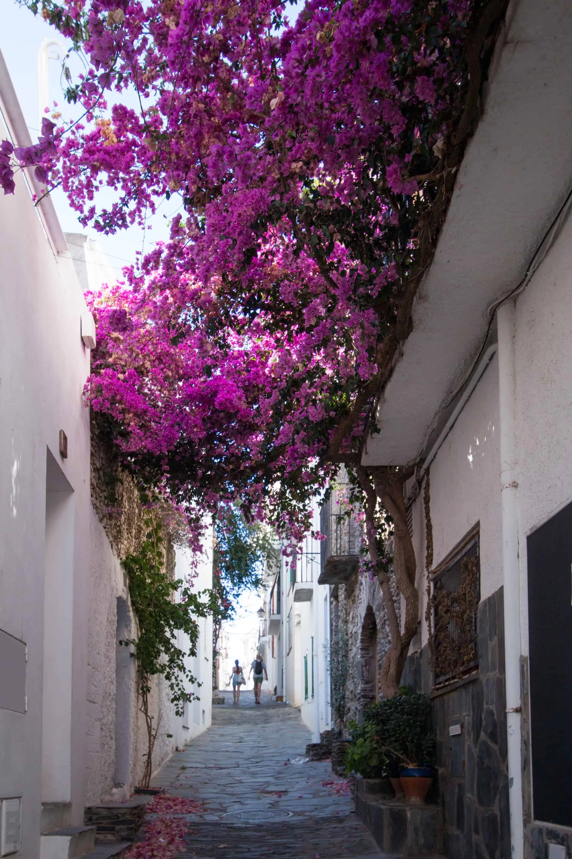 Restaurantes con terraza junto al mar en Cadaqués