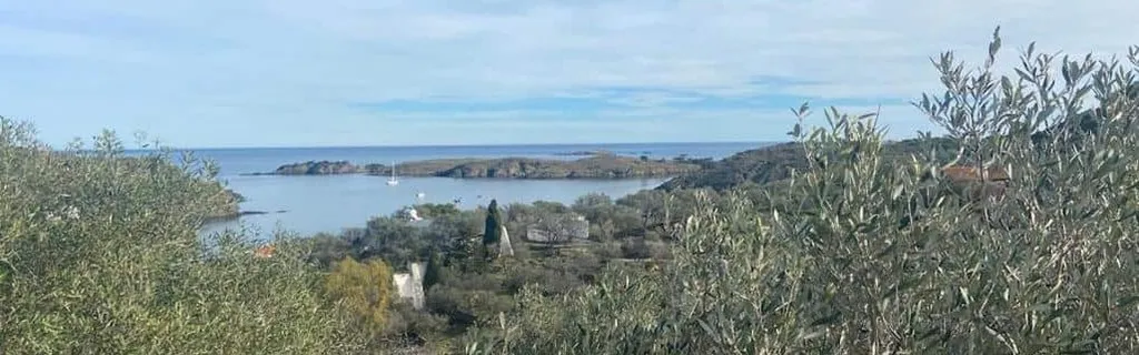 Excursions à Gérone avec guides locaux