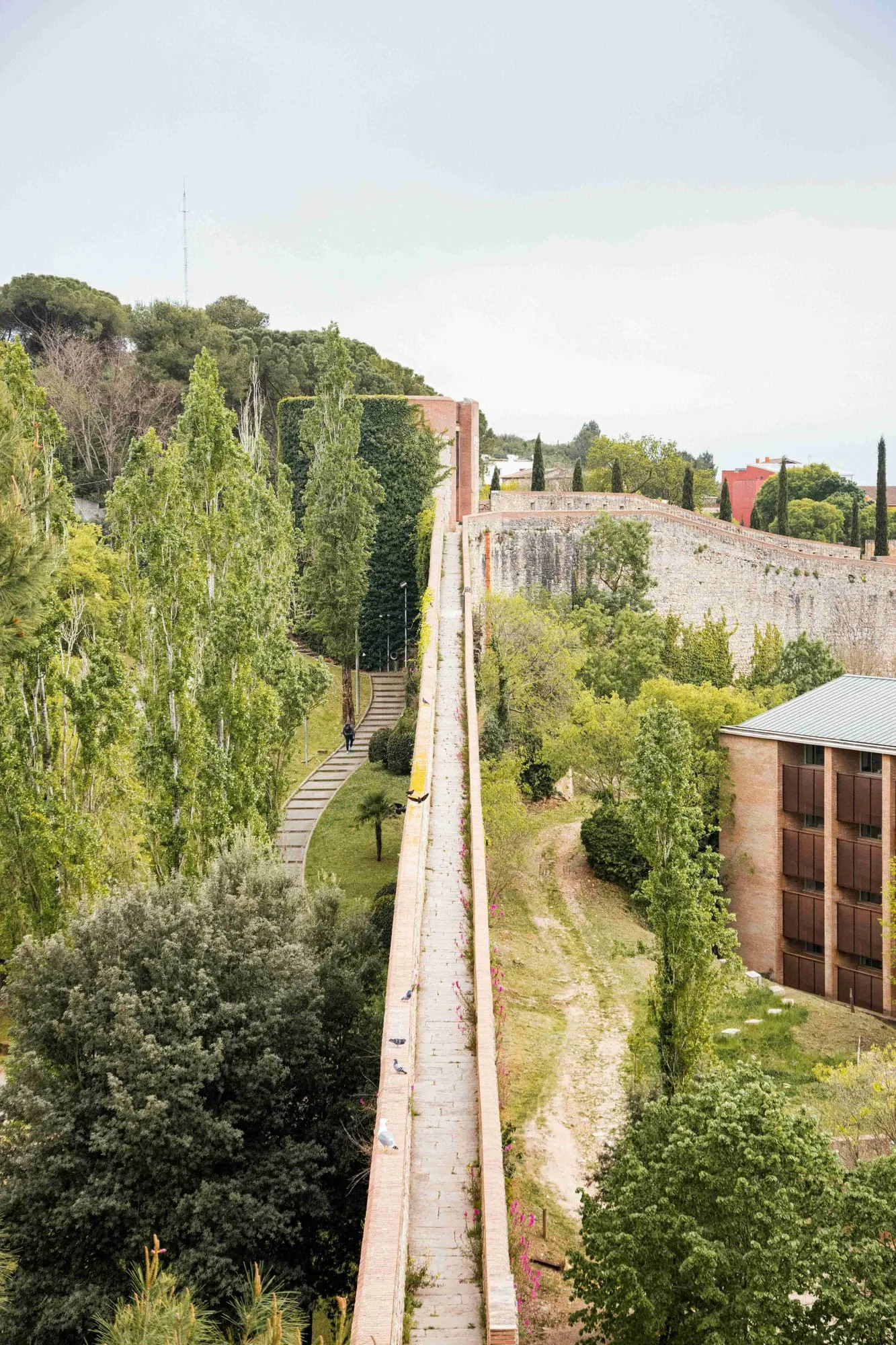 Paseo arbolado en los Jardines de la Devesa de Girona
