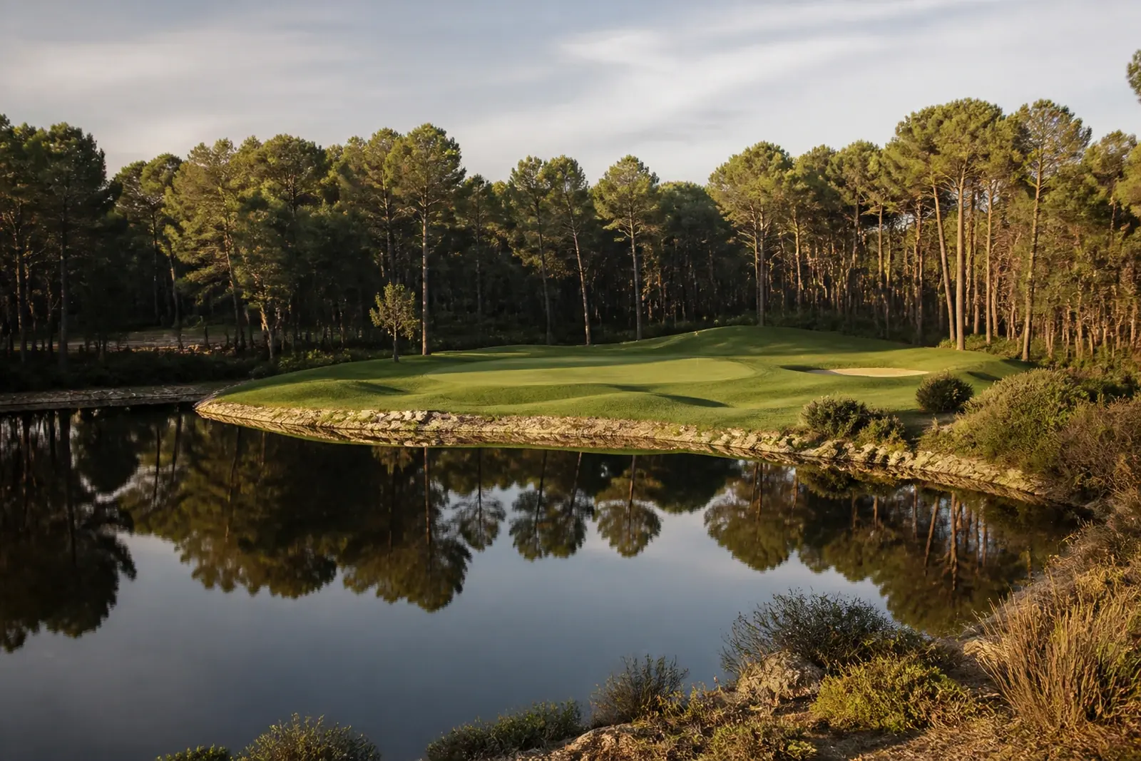 Undulating green surrounded by water reflecting the Mediterranean pine wood