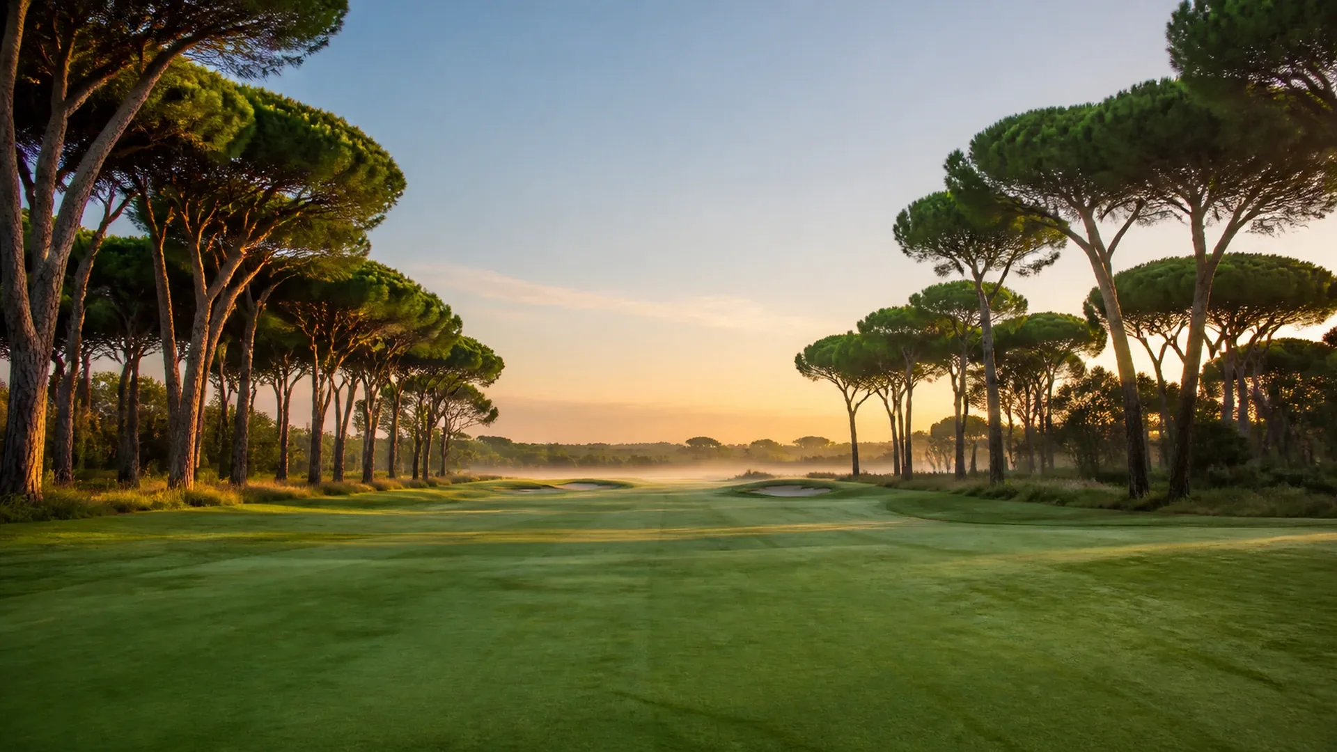Golf fairway lined with old pine trees under early morning mist