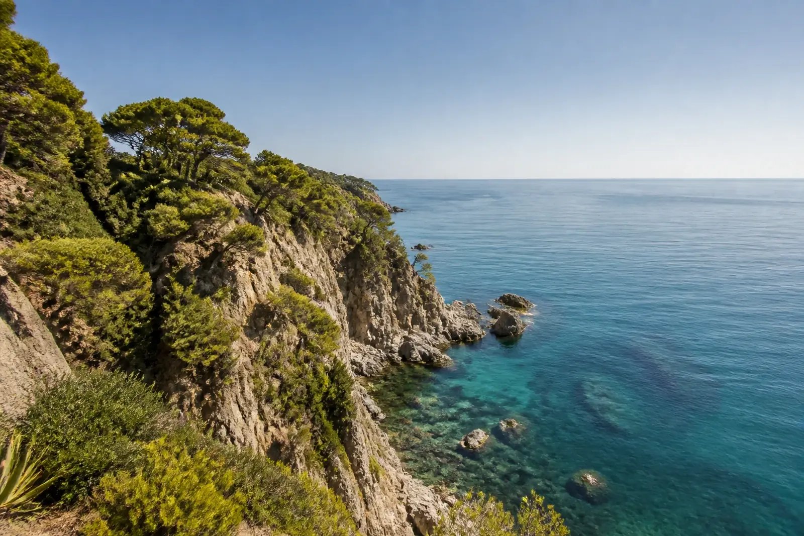 Costa Brava cliffs with pine trees and calm sea under a clear sky